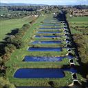 Case Study: Waterschap Rivierenland